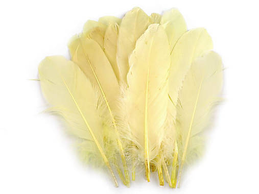 Husacie perie 12-21 cm 20 ks (bielo žltá)