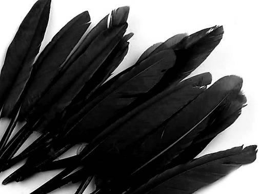 Kačacie perie 9-14 cm 20 ks (čierna)