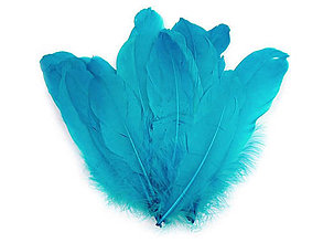 Suroviny - Husacie perie 12-21 cm 20 ks (modrá tyrkys) - 14357212_