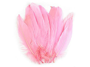 Suroviny - Husacie perie 12-21 cm 20 ks (ružová svetlá) - 14357226_
