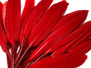Suroviny - Kačacie perie 9-14 cm 20 ks (červená) - 14357283_