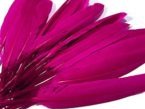 Suroviny - Kačacie perie 9-14 cm 20 ks (ružová krikľavá) - 14357285_