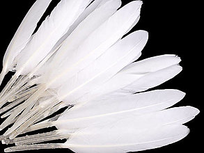 Suroviny - Kačacie perie 9-14 cm 20 ks (biela) - 14357286_