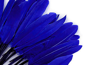 Suroviny - Kačacie perie 9-14 cm 20 ks (modrá kráľovská) - 14357290_