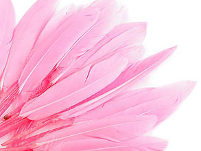 Suroviny - Kačacie perie 9-14 cm 20 ks (pink) - 14357291_