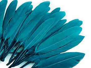 Suroviny - Kačacie perie 9-14 cm 20 ks (modrá kačacia) - 14357292_
