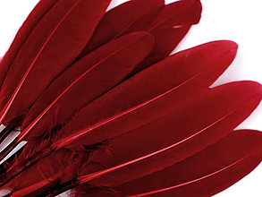 Suroviny - Kačacie perie 9-14 cm 20 ks (červená tmavá) - 14357309_
