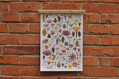Grafika - Obrázok A3 Kvety - 14361060_