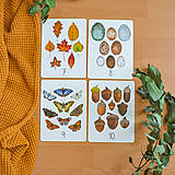 Hračky - Číselné karty z lúky a lesa - 14364259_