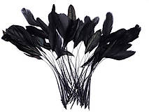 Suroviny - Kohútie perie 13-18 cm 50 ks (čierna) - 14371663_
