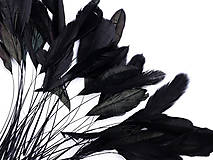 Suroviny - Kohútie perie 13-18 cm 50 ks (čierna) - 14371680_