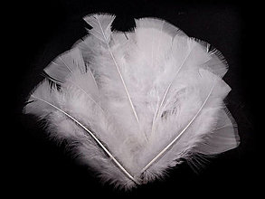 Suroviny - Morčacie perie 11-17 cm 20 ks (biela) - 14371727_