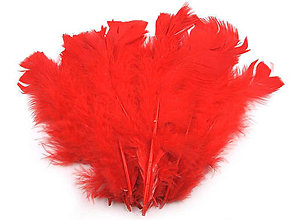 Suroviny - Morčacie perie 11-17 cm 20 ks (červená šarlatová) - 14371731_