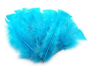 Suroviny - Morčacie perie 11-17 cm 20 ks (modrá sýta) - 14371733_