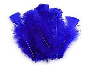 Suroviny - Morčacie perie 11-17 cm 20 ks (modrá kráľovská) - 14371738_
