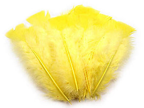 Suroviny - Morčacie perie 11-17 cm 20 ks (žltá) - 14371753_