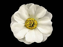 Polotovary - Umelý kvet čajová ruža Ø5 cm 5 ks - 14375553_