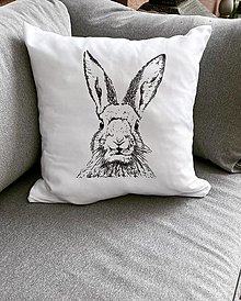 Dekorácie - Zvedavý zajko  (Obliečka na vankúš) - 14379211_