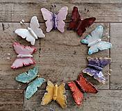 Dekorácie - Motýle - 14387491_