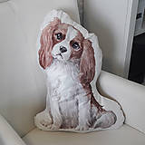 Úžitkový textil - Vankúš v tvare psa Kavalier španiel - 14398660_