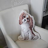 Úžitkový textil - Vankúš v tvare psa Kavalier španiel - 14398661_