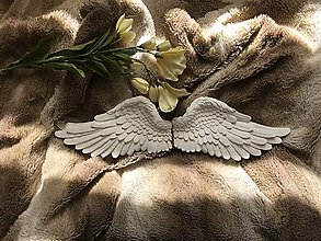 Dekorácie - Biele anjelské krídla (Das) - 14411898_