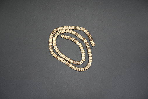 Korálky - Kokosový orech (disk) VII 5 - 14422587_