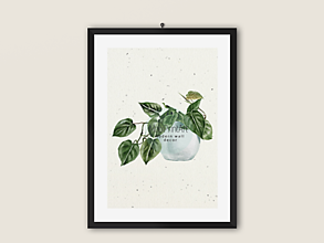 Grafika - Art Print| Domáce rastliny| 01 - 14420263_