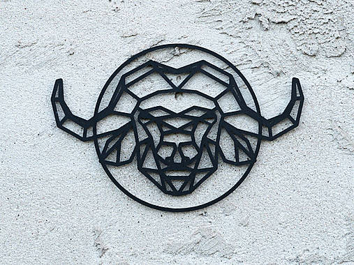 Dekorácie - POLLY - geometrický obraz na stenu - Byvol (M - 240x240x2 mm, 25 g - biela - Biela) - 14440144_