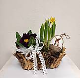 Jarný veľkonočný aranžman košíček primula a narcis