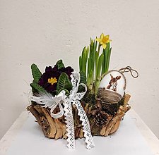 Dekorácie - Jarný veľkonočný aranžman košíček primula a narcis - 14470456_
