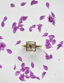 Prstene - Prsteň so sušeným kvetom v rámiku - 14472603_