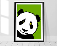 Medvedík panda