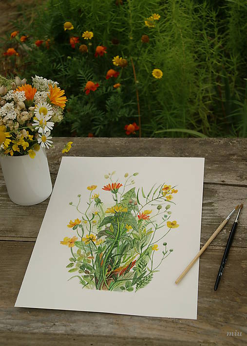  - Obraz Žlté lúčne kvety, tlač A4 (21x29,7cm) - 14495297_