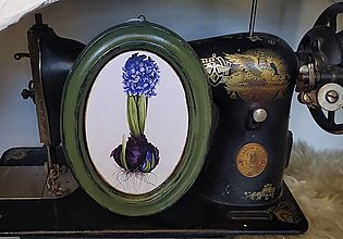 Dekorácie - Botanický oválny obrázok Hyacint - 14495551_