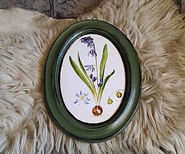 Dekorácie - Botanický oválny obrázok Hyacint - 14497466_