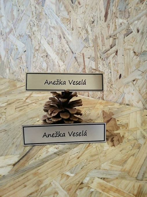 Tabuľky - Menovka na dvere / schránku (strieborná varianta 13x2cm/1ks) - 14498698_