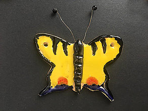 Dekorácie - Papilio - 14507424_