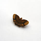 Brošne - Drevená brošňa - motýlik agátový - 14509402_