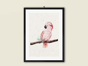 Grafika - Plagát |Art Print| papagáj ružový Kakadu - 14518891_