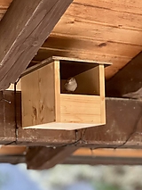 Pre zvieratá - Vtáčia búdka pre žltochvosta FOoFO - 14534823_