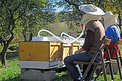 Dobrý obchod - WellBEEing - víkendový aktívny oddych pri včelách - 14538618_