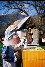  - WellBEEing - víkendový aktívny oddych pri včelách  - 14538657_