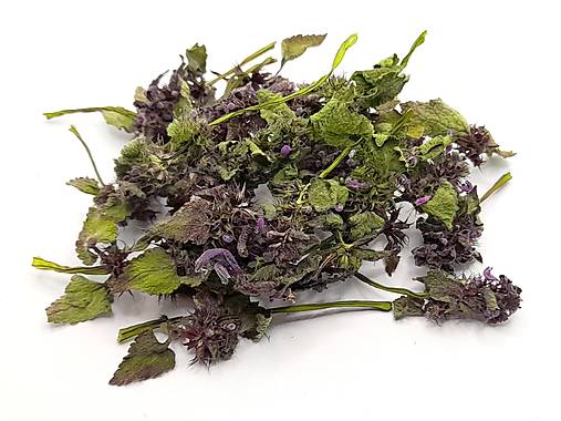 Bylinky - Hluchavka purpurová - 14545380_