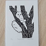 Grafika - Mačka na strome - linorytová grafika - 14544754_