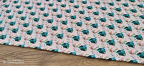 Textil - Teplákovina -Anna, Elsa- cena za 10 centimetrov - 14547637_