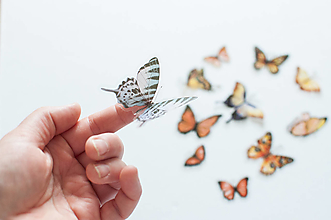 Papier - Transparentný set nálepiek " Motýle " - 14564419_