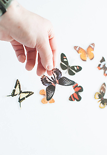 Papier - Transparentný set nálepiek " Motýle Mix II." - 14564447_