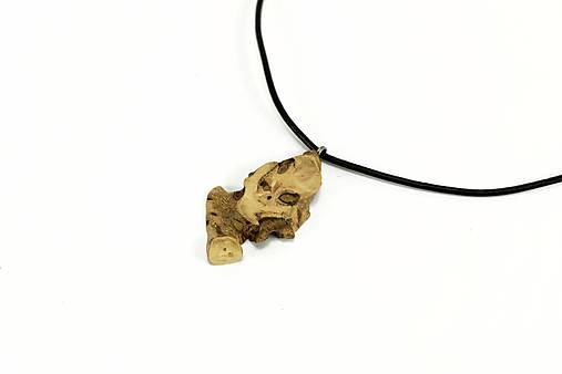 Náhrdelníky - Prívesok vinič - Vitis vinifera č.10 - 14566463_