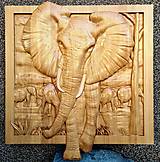 Dekorácie - Drevorezba  Slon a Afrika - 14575896_